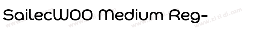 SailecW00 Medium Reg字体转换